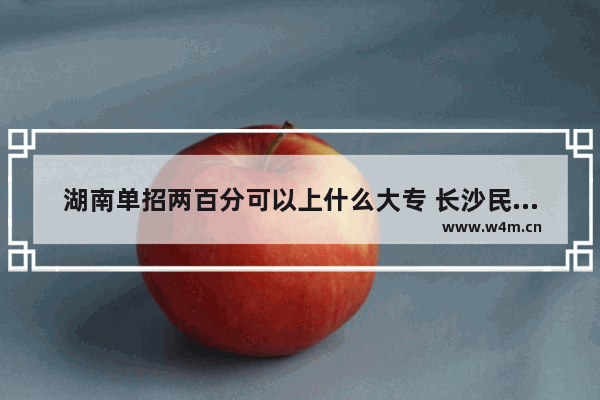 湖南单招两百分可以上什么大专 长沙民政高职高考分数线