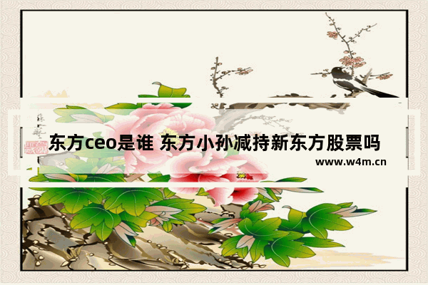 东方ceo是谁 东方小孙减持新东方股票吗