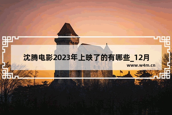 沈腾电影2023年上映了的有哪些_12月月底上映的电影