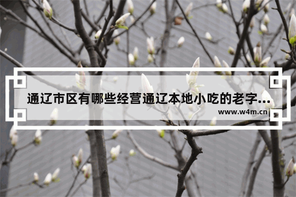 通辽市区有哪些经营通辽本地小吃的老字号饭店 通辽美食推荐24小时