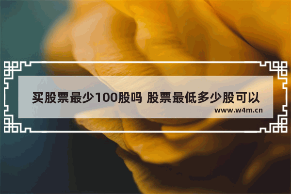 买股票最少100股吗 股票最低多少股可以买入呢