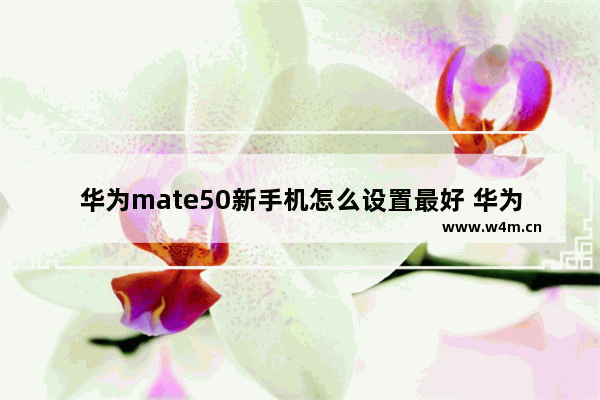 华为mate50新手机怎么设置最好 华为新款实用手机推荐哪款