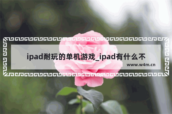 ipad耐玩的单机游戏_ipad有什么不用联网单机游戏好玩