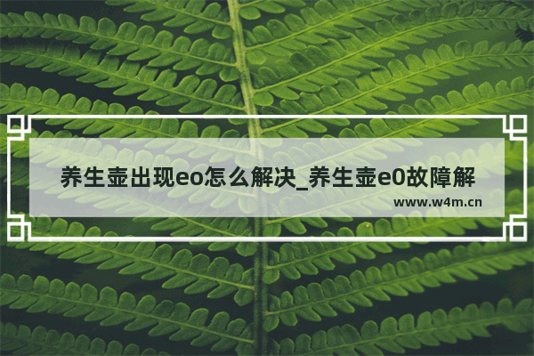 养生壶出现eo怎么解决_养生壶e0故障解决方法