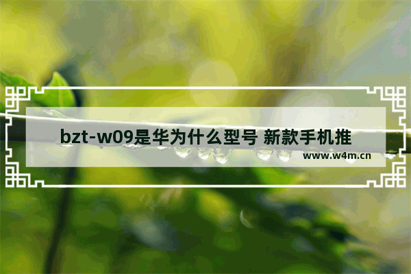 bzt-w09是华为什么型号 新款手机推荐华为平板型号