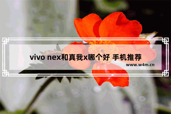 vivo nex和真我x哪个好 手机推荐vivo新款nex