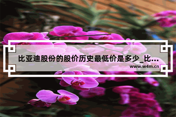 比亚迪股份的股价历史最低价是多少_比亚迪股票2010年什么价