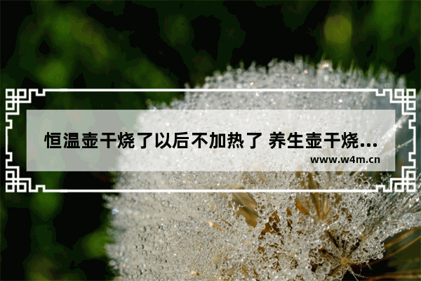 恒温壶干烧了以后不加热了 养生壶干烧后通电不加热