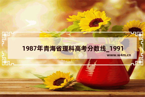 1987年青海省理科高考分数线_1991年全国各省高考录取分数