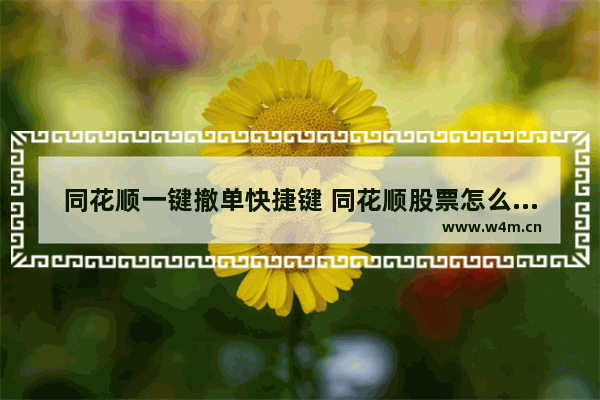 同花顺一键撤单快捷键 同花顺股票怎么卖出操作方法