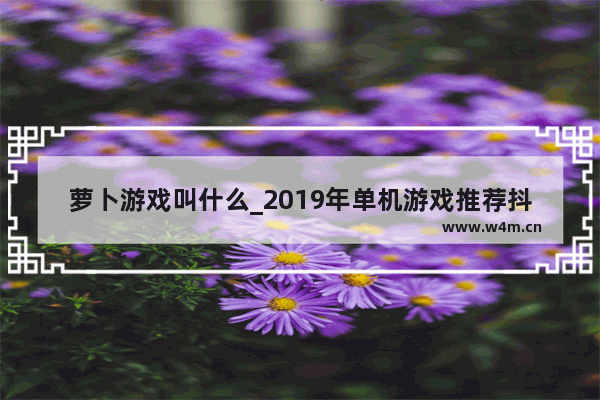 萝卜游戏叫什么_2019年单机游戏推荐抖音小游戏