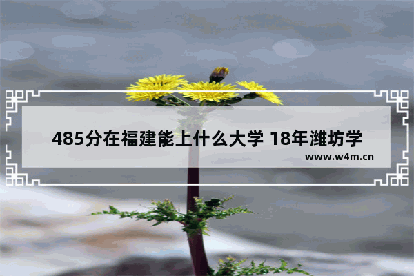 485分在福建能上什么大学 18年潍坊学院高考分数线