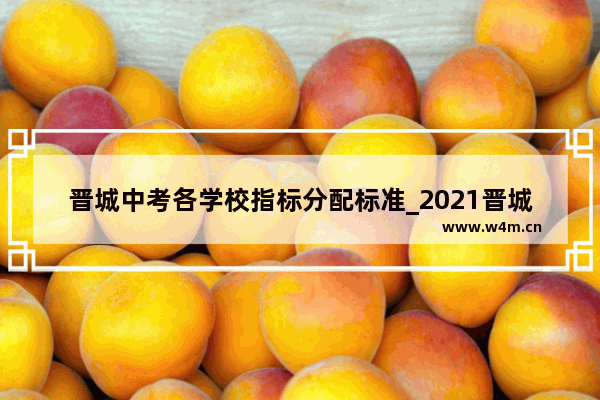 晋城中考各学校指标分配标准_2021晋城市高中分数线标准