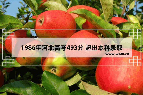 1986年河北高考493分 超出本科录取分数线8分却上了大专 河北高考分数线公布比往年