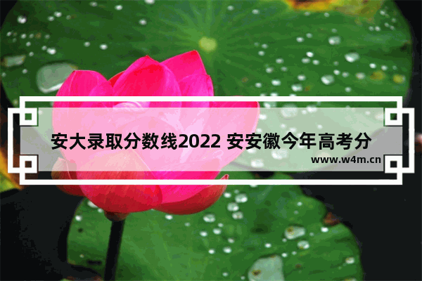 安大录取分数线2022 安安徽今年高考分数线