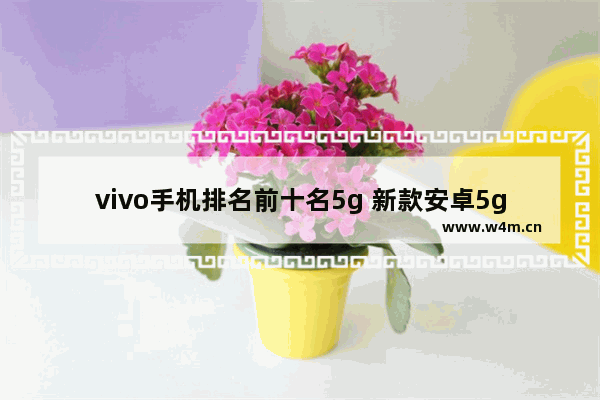 vivo手机排名前十名5g 新款安卓5g手机推荐哪款