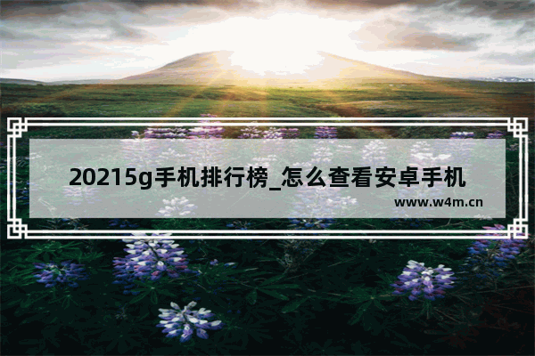 20215g手机排行榜_怎么查看安卓手机是不是5g手机