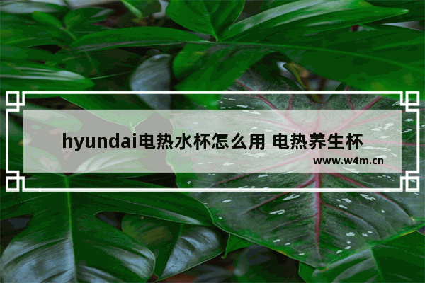 hyundai电热水杯怎么用 电热养生杯煮粥