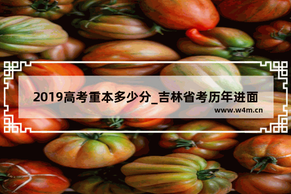 2019高考重本多少分_吉林省考历年进面分数线