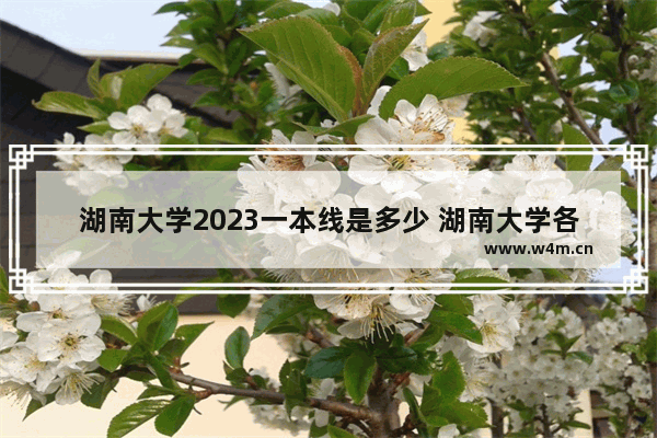 湖南大学2023一本线是多少 湖南大学各省高考分数线