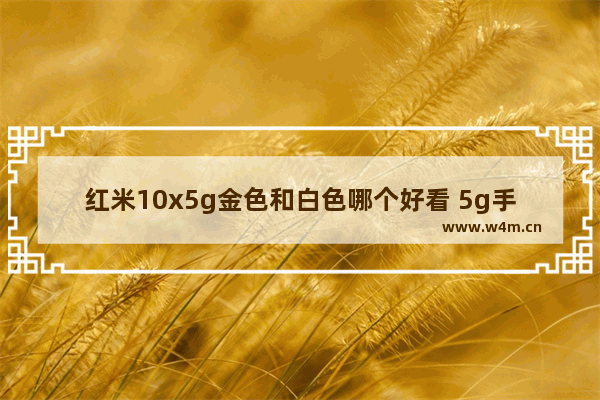 红米10x5g金色和白色哪个好看 5g手机推荐性价比高白色和黑色