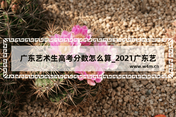 广东艺术生高考分数怎么算_2021广东艺术生本科录取分数线