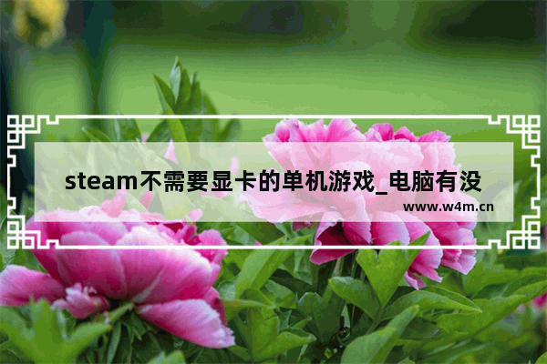 steam不需要显卡的单机游戏_电脑有没有不用登入的游戏