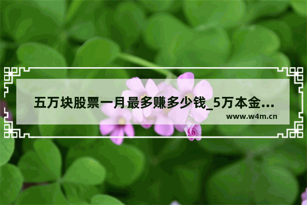 五万块股票一月最多赚多少钱_5万本金每个月盈利5% 5年复利是多少钱