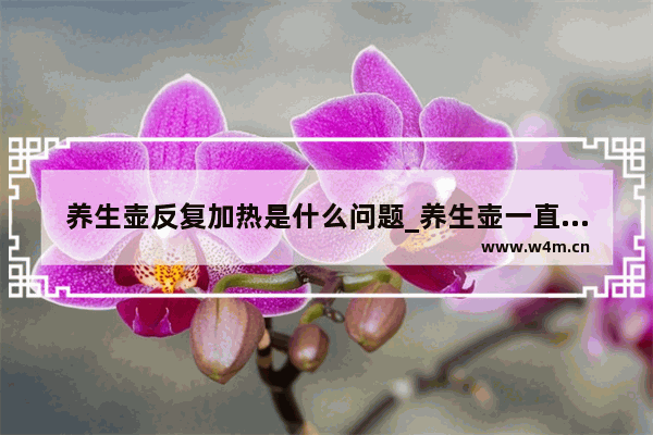 养生壶反复加热是什么问题_养生壶一直烧水不停 是什么地方坏了