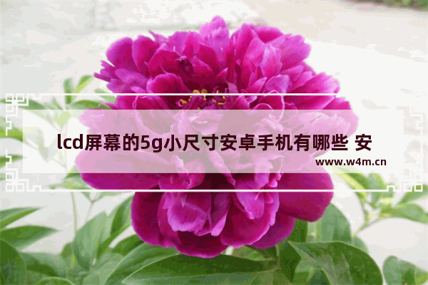 lcd屏幕的5g小尺寸安卓手机有哪些 安卓5g手机推荐小屏吗