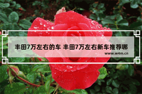 丰田7万左右的车 丰田7万左右新车推荐哪款车型呢