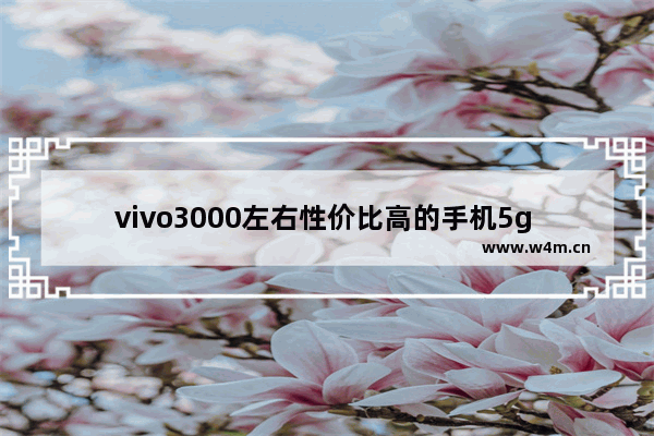 vivo3000左右性价比高的手机5g 安卓5g手机推荐三千左右屏幕大一点