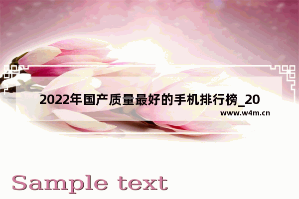 2022年国产质量最好的手机排行榜_2022高端新款手机排行榜