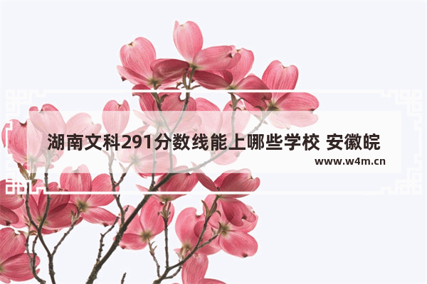 湖南文科291分数线能上哪些学校 安徽皖北地区高考分数线