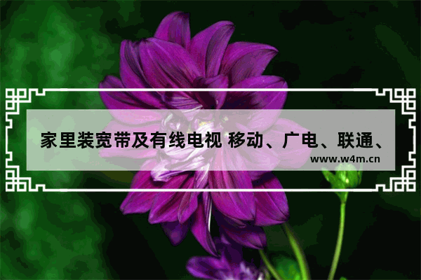 家里装宽带及有线电视 移动、广电、联通、电信哪个更划算_新版手机推荐哪款最好用又便宜又实惠