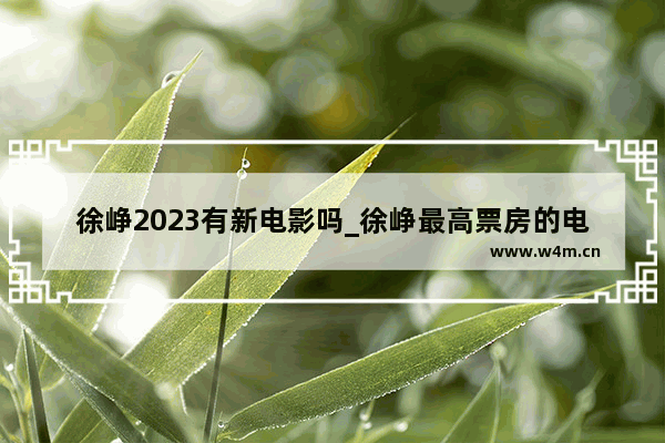 徐峥2023有新电影吗_徐峥最高票房的电影