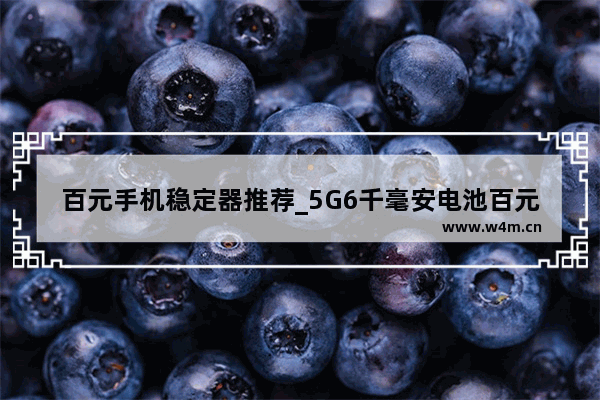 百元手机稳定器推荐_5G6千毫安电池百元机哪个牌好