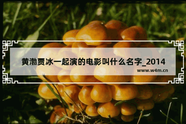 黄渤贾冰一起演的电影叫什么名字_2014年宁浩执导的电影 心花路放