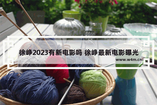 徐峥2023有新电影吗 徐峥最新电影曝光