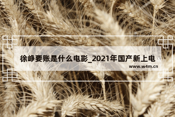 徐峥要账是什么电影_2021年国产新上电影