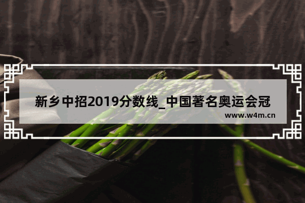 新乡中招2019分数线_中国著名奥运会冠军