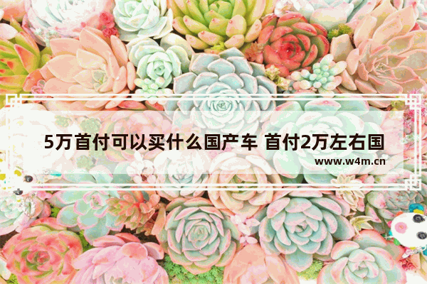 5万首付可以买什么国产车 首付2万左右国产新车推荐