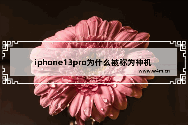 iphone13pro为什么被称为神机 高性能高像素工作手机推荐一下苹果