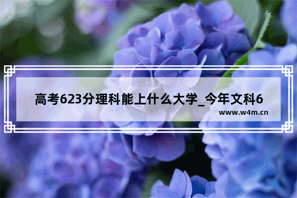 高考623分理科能上什么大学_今年文科623分可以报哪些985学校