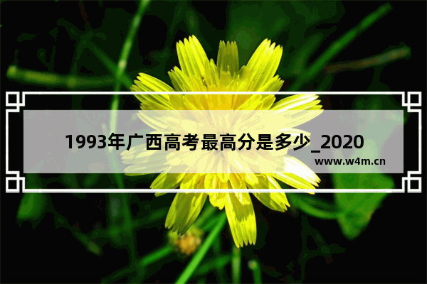 1993年广西高考最高分是多少_2020年广西高考最高分