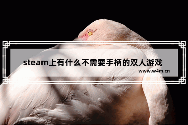 steam上有什么不需要手柄的双人游戏 电脑配置低手柄游戏推荐