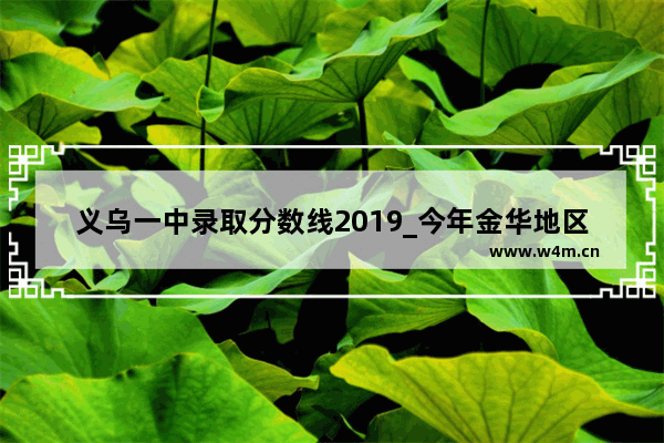 义乌一中录取分数线2019_今年金华地区的高考最高分是多少