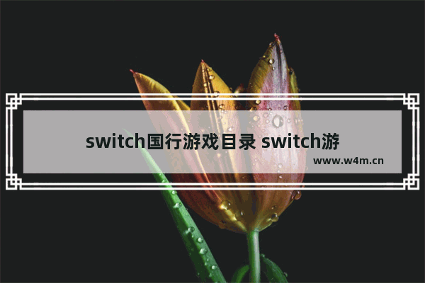 switch国行游戏目录 switch游戏推荐中文国行