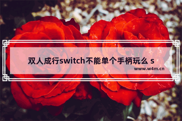 双人成行switch不能单个手柄玩么 switch双人游戏推荐单手柄