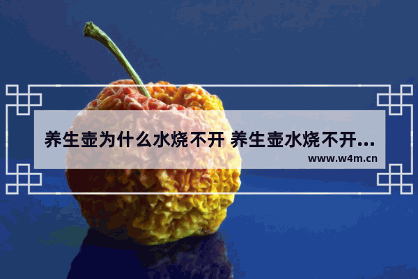 养生壶为什么水烧不开 养生壶水烧不开怎么修